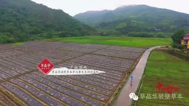 t(y)ˎ쿴Ї(gu)ƽ